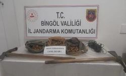 Bingöl'de 8 kilo 'salep soğanı' ele geçirildi; 3 şüpheliye 1.2 milyon TL ceza