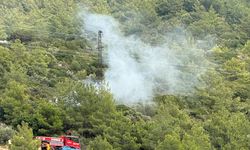 İstanbul'da polis ekipleri orman yangınlarına karşı vatandaşları bilgilendirdi