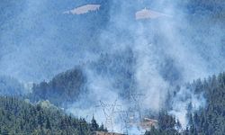 Bursa'da ormanlık alanda yangın çıktı