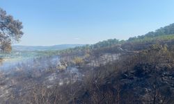 Çanakkale’deki orman yangını 24 saatte kontrol altına alındı