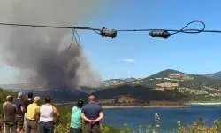 İzmir'in Çeşme ilçesinde ormanlık alanda çıkan yangınla ilgili 4 gözaltı