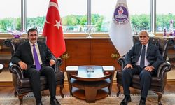 Cumhurbaşkanı Yardımcısı Yılmaz, AYM Başkanı Özkaya'yı ziyaret etti
