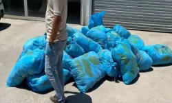 Diyarbakır’da iş yerinde 296 kilo skunk ele geçirildi; 1 gözaltı