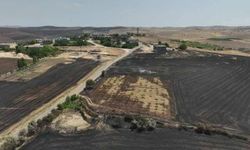 Diyarbakır ve Mardin'de yangının yaşandığı bölge ‘Afet Bölgesi’ ilan edildi