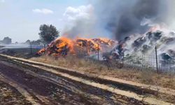 Edirne’deki anız yangınında 500 dönüm arazi zarar gördü