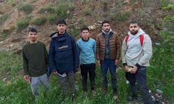 Edirne'de 8 kaçak göçmen bulundu