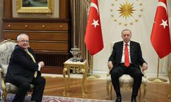Cumhurbaşkanı Erdoğan, İrlanda Meclis Başkanı Fearghail ile görüştü