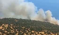 İzmir'de orman yangını: Bir site tahliye edildi