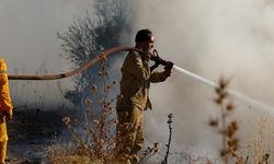 Bergama Orman İşletme Müdürü, yangına müdahale sırasında hayatını kaybetti