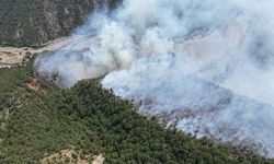 Karabük'te çıkan orman yangınına müdahale ediliyor