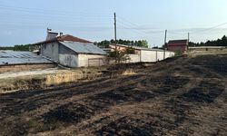 Kastamonu'da çıkan yangında 25 dekarlık arpa tarlası yandı