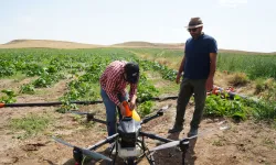 Kırıkkale'de ilaçlamayı dronla yapan çiftçinin su tasarrufu