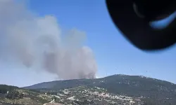 Manisa'nın Soma ilçesinde orman yangını