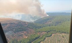 Kütahya'da ormanlık alanda yangın: Müdahale sürüyor