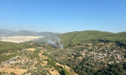 İzmir'in Urla ilçesinde çıkan orman yangınına müdahale ediliyor