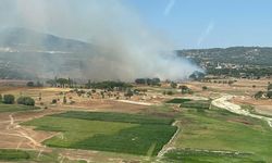 Muğla'nın Milas ilçesinde ikinci orman yangını çıktı