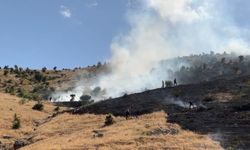 Muş'ta ot yangını, 2 saatte söndürüldü