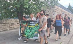 TBMM önünde ‘sokak hayvanları’ protestosu: Bir kez bile barınak gezmemişsiniz