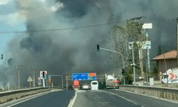 Tekirdağ'da anız yangını fabrikaya sıçradı