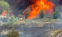 Tekirdağ'daki anız yangını 3 saatte kontrol altına alındı