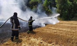 Ukrayna’da 24 saatte 343 orman ve çalı yangını çıktı