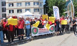 Yalova Belediyesinde işten çıkarılanlar için alınan grev kararı uygulanmaya başladı