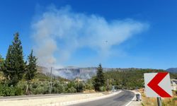 Mersin'de orman yangını