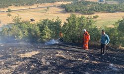 Bingöl'de çıkan orman ve örtü yangınları söndürüldü