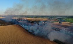 Edirne'de çıkan anız yangını söndürüldü