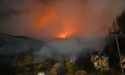 Balıkesir'de çiftlik yangını 1 saatte söndürüldü