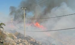 Bodrum'da otluk ve makilik yangını