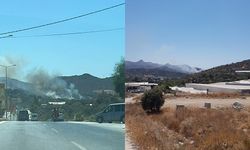 Bodrum'da makilik yangını