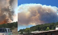 Bolu Valisi Kılıç'tan orman yangınına ilişkin açıklama