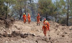 Bolu'da kontrol altına alınan yangında soğutma çalışması sürüyor