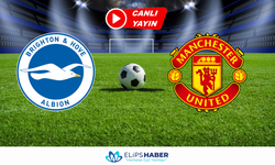 Brighton  – Manchester maçı canlı izle