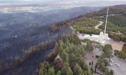 Çanakkale Eceabat'taki orman yangını kontrol altına alındı