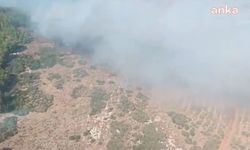 Hatay Antakya'da orman yangını çıktı