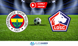 Fenerbahçe – Lille canlı izle (CANLI)