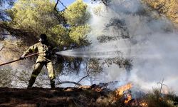 Girit Adası'nda orman yangınları: 8 köy boşaltıldı