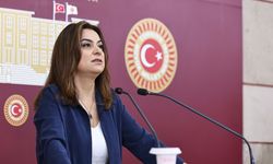 Gülistan Kılıç Koçyiğit: Çocuk cinayetlerinin ardındaki politik nedenler açığa çıkarılmalı