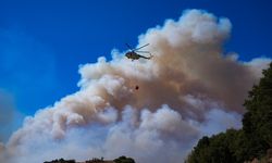 Karşıyaka, Urla ve Göynük'deki yangınlar kontrol altına alındı