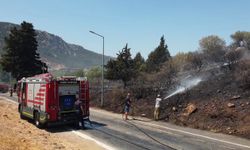 İzmir'de otluk alanda çıkan yangın söndürüldü