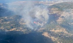 Antalya'da makilikten ormanlık alana ve bahçelere sıçrayan yangın söndürüldü