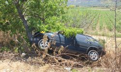 Manisa’da ağaca çarpan otomobilin sürücüsü ve eşi öldü