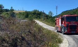 Sinop'ta çıkan orman yangını söndürüldü