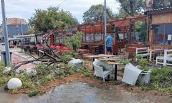 Tekirdağ'da sağanak ve kuvvetli rüzgar; ağaçlar devrildi, çatılar uçtu