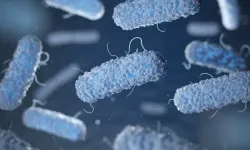 Listeria virüsü nedir, nasıl bulaşır?