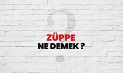 Züppe kelime anlamı nedir?