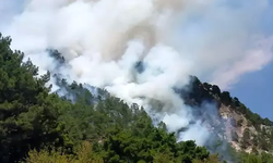 Antalya'da orman yangını