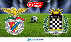 Selcuksports HD | Boavista - Benfica maçı canlı izle